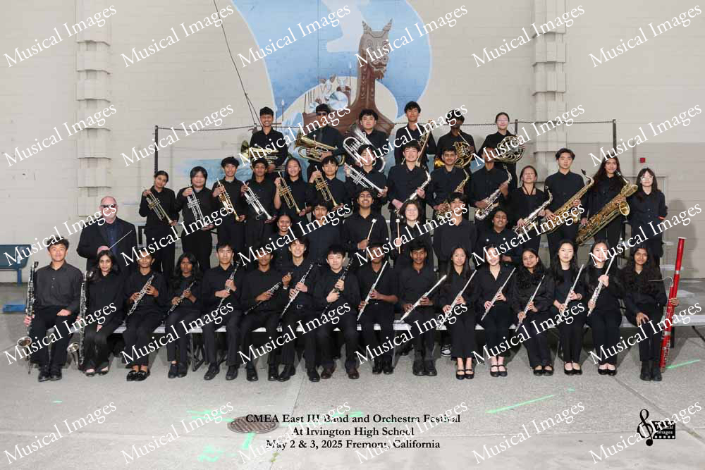 Musical Images